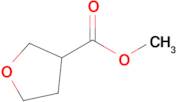 Methyl tetrahydrofuran-3-carboxylate