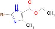 Ethyl 2-bromo-5-methyl-4H-imidazole-4-carboxylate