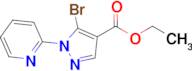 Ethyl 5-bromo-1-(pyridin-2-yl)-1H-pyrazole-4-carboxylate