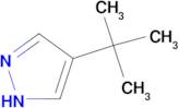 4-(tert-Butyl)-1H-pyrazole