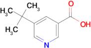 5-(tert-Butyl)nicotinic acid