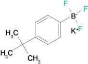 Potassium (4-(tert-butyl)phenyl)trifluoroborate