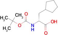 (R)-2-((tert-Butoxycarbonyl)amino)-3-cyclopentylpropanoic acid