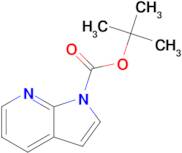 tert-Butyl 1H-pyrrolo[2,3-b]pyridine-1-carboxylate