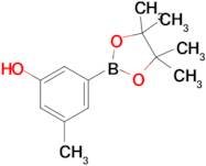 3-Methyl-5-(4,4,5,5-tetramethyl-1,3,2-dioxaborolan-2-yl)phenol