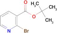 tert-Butyl 2-bromonicotinate