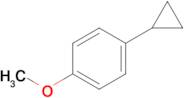 1-Cyclopropyl-4-methoxybenzene