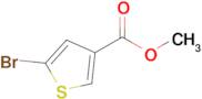 Methyl 5-bromothiophene-3-carboxylate