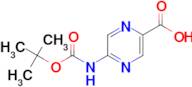 5-((tert-Butoxycarbonyl)amino)pyrazine-2-carboxylic acid