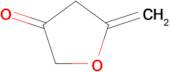 5-Methylfuran-3(2H)-one