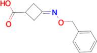 3-[(Benzyloxy)imino]cyclobutanecarboxylic acid