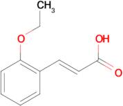 2-Ethoxycinnamic acid, 98+%