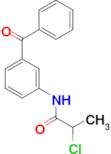 2-Chloro-N-(3-(phenylcarbonyl)phenyl)propanamide, 95%