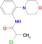 N-[2-(4-Morpholino)phenyl]-2-chloropropanamide, 95%