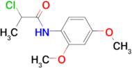 N-(2,4-Dimethoxyphenyl)-2-chloropropanamide, 95%