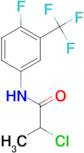 N-(4-Fluoro-3-trifluoromethylphenyl)-2-chloropropanamide, 95%