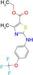 Ethyl 4-methyl-2-{[4-(trifluoromethoxy)phenyl]amino}thiazole-5-carboxylate