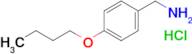 p-Butoxybenzylamine Hydrochloride