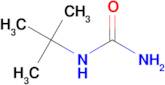 N-tert-Butylurea