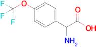 4-(Trifluoromethoxy)-DL-phenylglycine