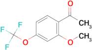 2'-Methoxy-4'-(trifluoromethoxy)acetophenone