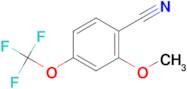 2-Methoxy-4-(trifluoromethoxy)benzonitrile