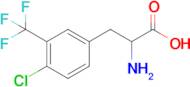 4-Chloro-3-(trifluoromethyl)-DL-phenylalanine
