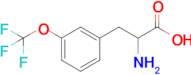 3-(Trifluoromethoxy)-DL-phenylalanine