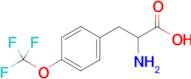 2-Amino-3-(4-(trifluoromethoxy)phenyl)propanoic acid