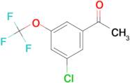 3'-Chloro-5'-(trifluoromethoxy)acetophenone