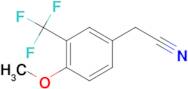 4-Methoxy-3-(trifluoromethyl)phenylacetonitrile