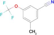 3-Methyl-5-(trifluoromethoxy)benzonitrile