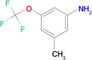 3-Methyl-5-(trifluoromethoxy)aniline