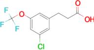 3-[3-Chloro-5-(trifluoromethoxy)phenyl]propionic acid