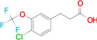 3-[4-Chloro-3-(trifluoromethoxy)phenyl]propionic acid