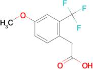 4-Methoxy-2-(trifluoromethyl)phenylacetic acid