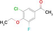 3'-Chloro-4'-ethoxy-5'-fluoroacetophenone