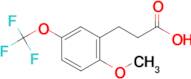 3-[2-Methoxy-5-(trifluoromethoxy)phenyl]propionic acid