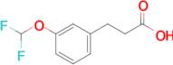 3-[3-(Difluoromethoxy)phenyl]propionic acid