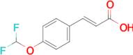 4-(Difluoromethoxy)cinnamic acid