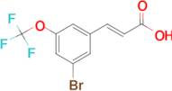 3-Bromo-5-(trifluoromethoxy)cinnamic acid