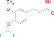 3-[4-(Difluoromethoxy)-3-methoxyphenyl]propionic acid