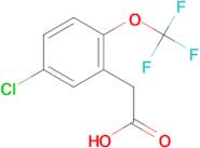 5-Chloro-2-(trifluoromethoxy)phenylacetic acid