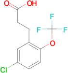 3-[5-Chloro-2-(trifluoromethoxy)phenyl]propionic acid