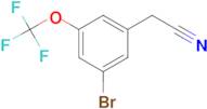 3-Bromo-5-(trifluoromethoxy)phenylacetonitrile