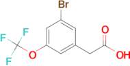 3-Bromo-5-(trifluoromethoxy)phenylacetic acid