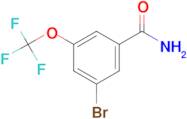 3-Bromo-5-(trifluoromethoxy)benzamide