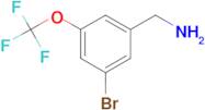 3-Bromo-5-(trifluoromethoxy)benzylamine