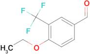 4-Ethoxy-3-(trifluoromethyl)benzaldehyde