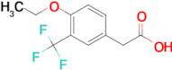 4-Ethoxy-3-(trifluoromethyl)phenylacetic acid